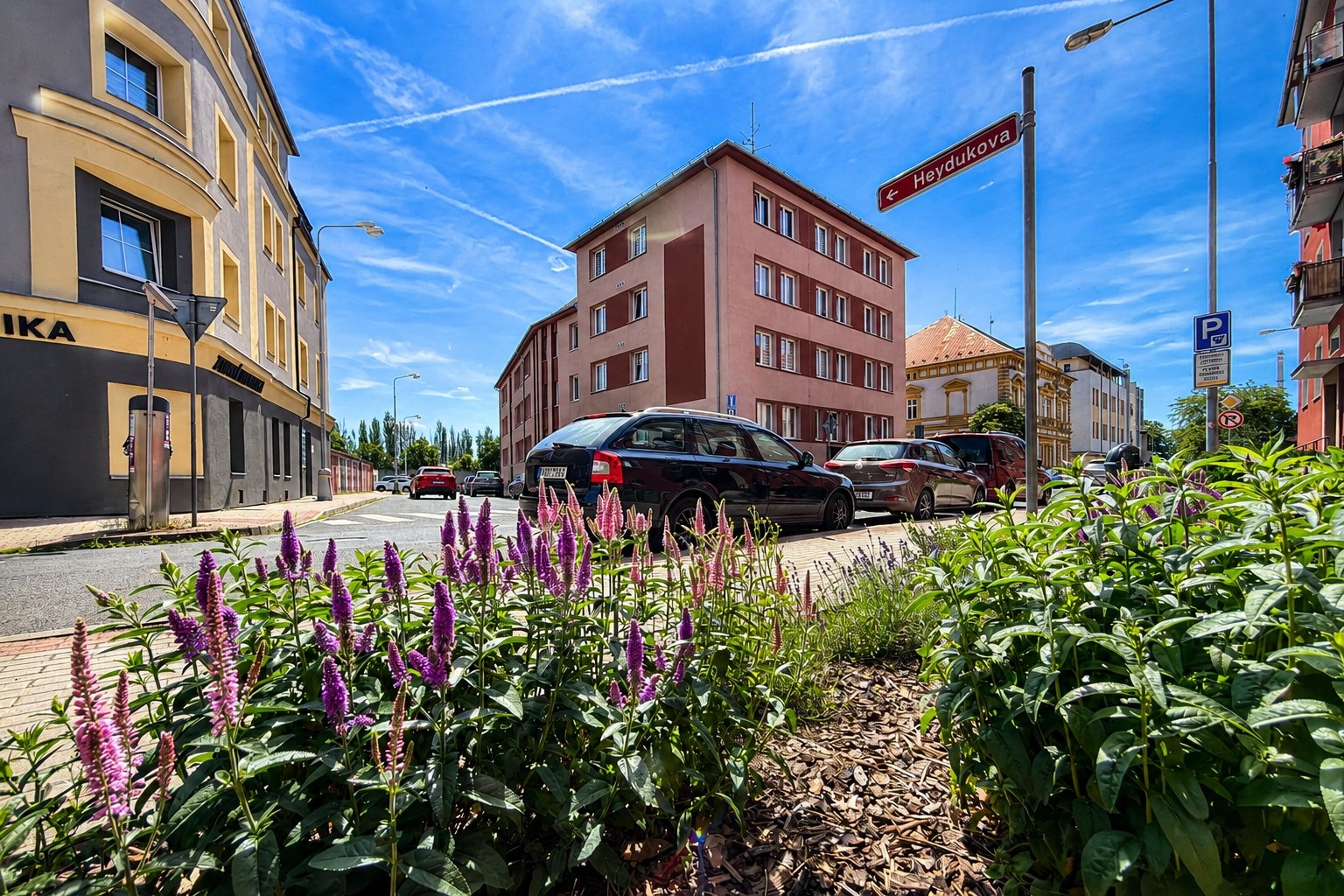 Fotogalerie